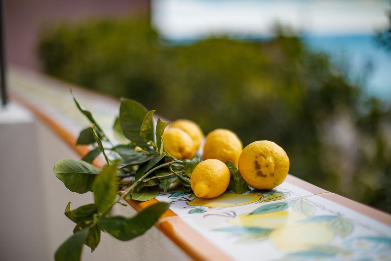 Il Sogno Di Positano Amalfi Exterior photo